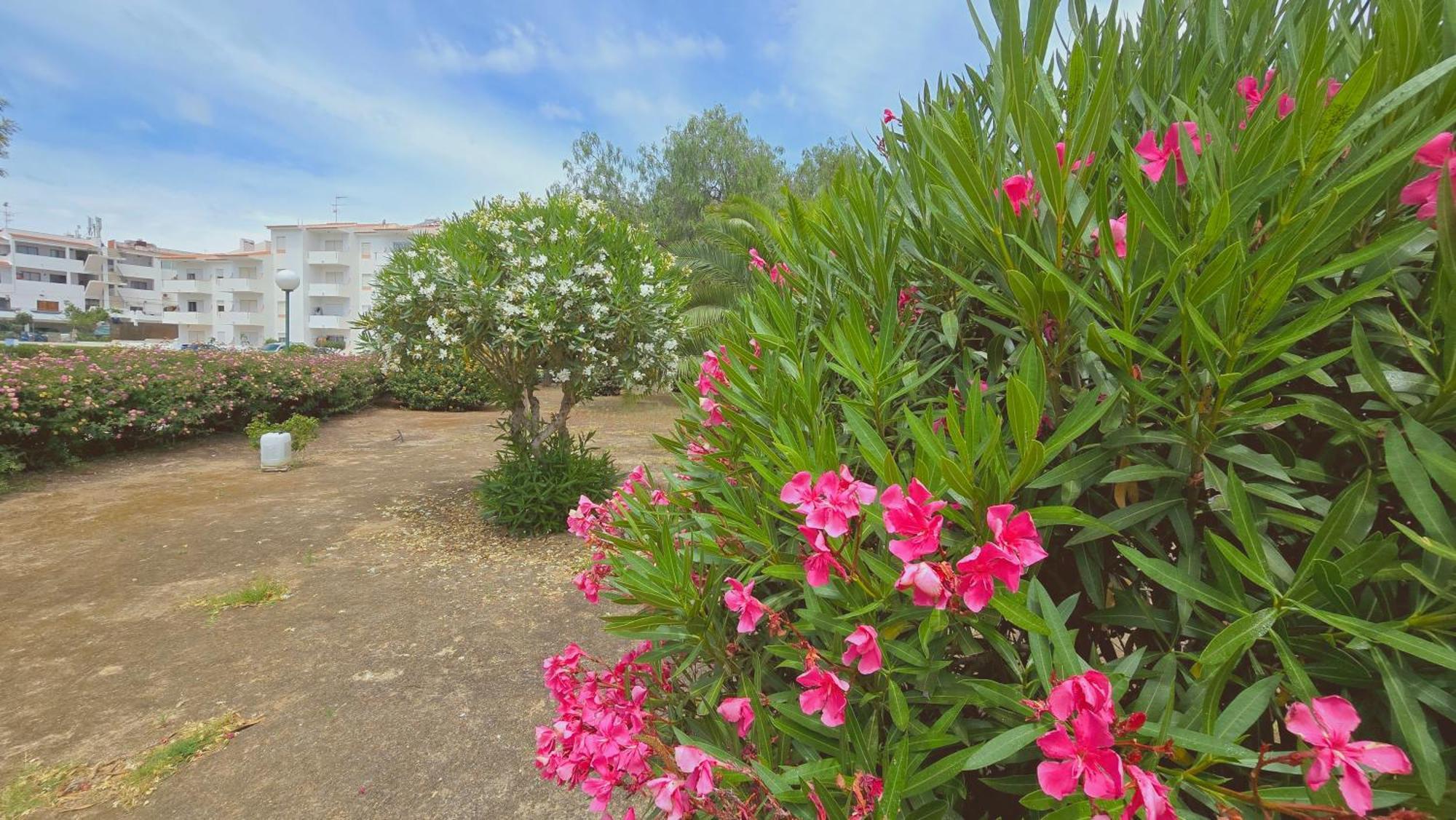Praia Eulalia With Pool And 5 Minutes From The Beach Albufeira Bagian luar foto