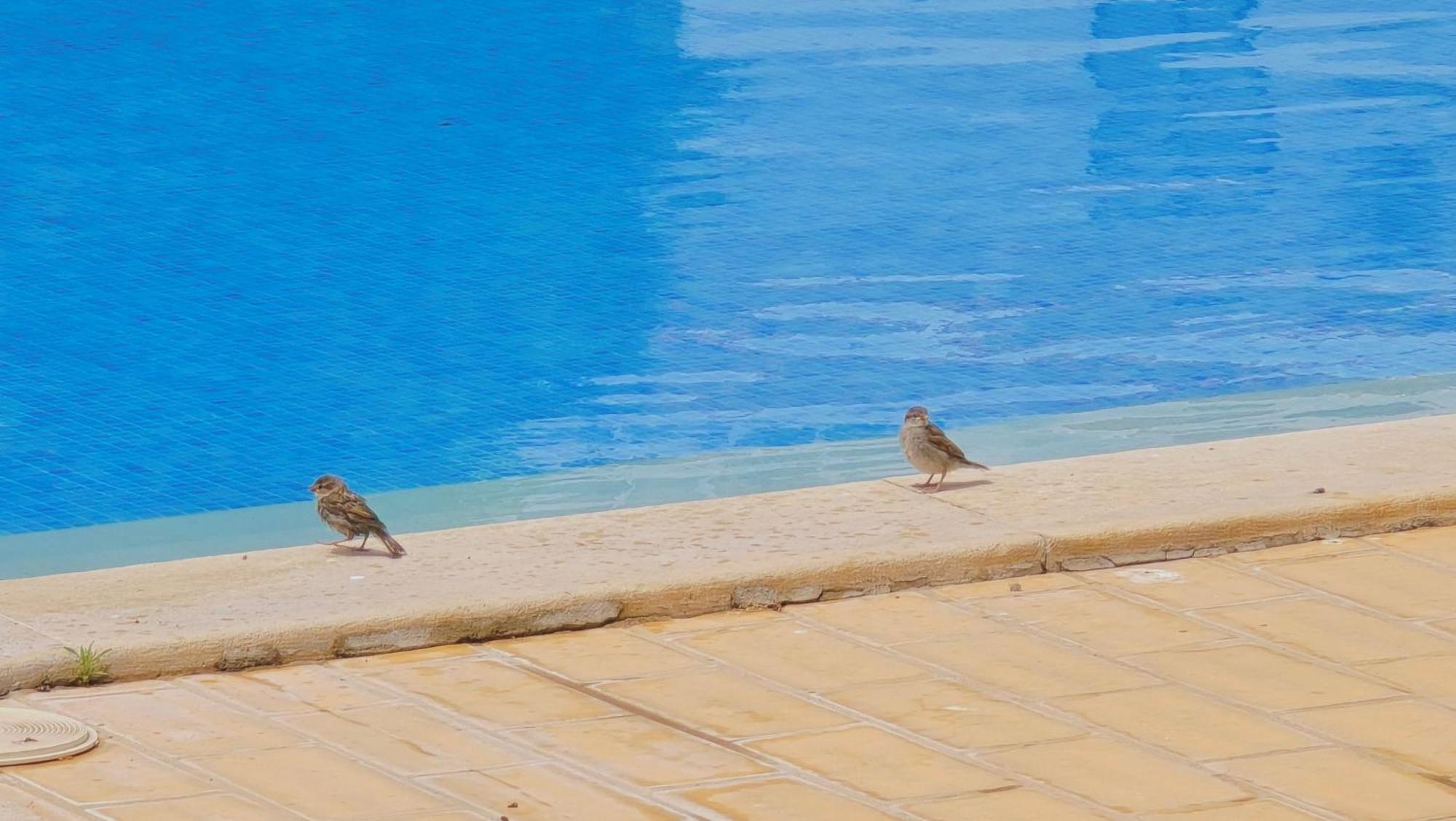Praia Eulalia With Pool And 5 Minutes From The Beach Albufeira Bagian luar foto