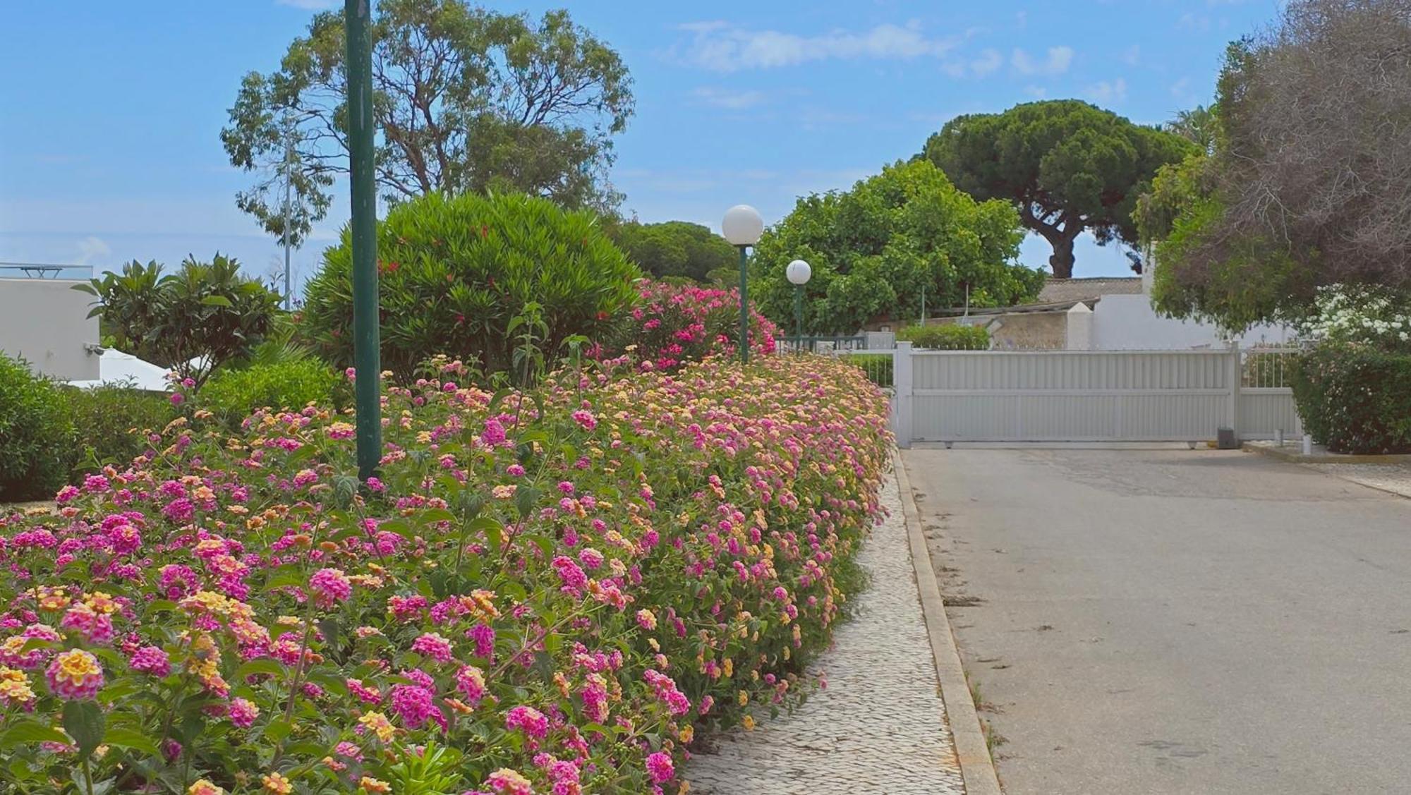 Praia Eulalia With Pool And 5 Minutes From The Beach Albufeira Bagian luar foto